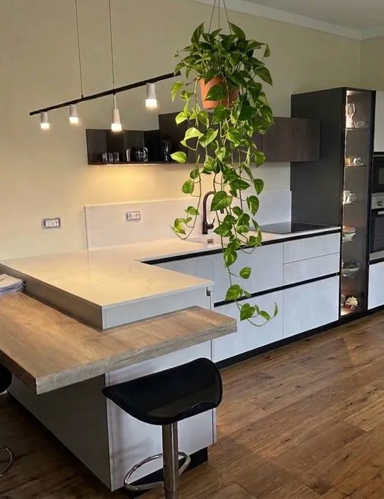 Cucina d'ispirazione industrial con banco snack
